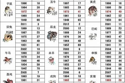 明年五行|2025年生肖属什么？